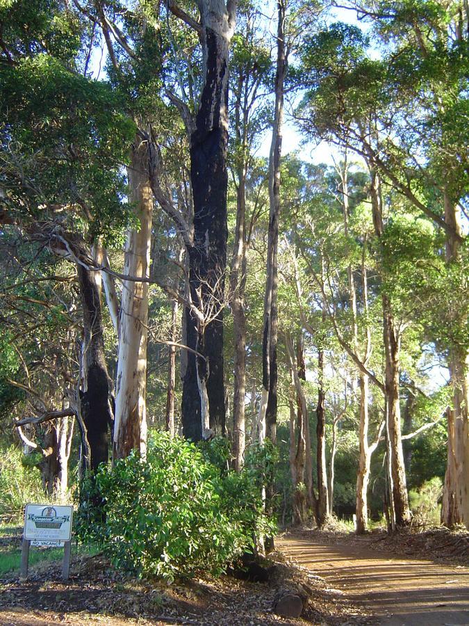 Kangaroo Valley Cottage Денмарк Экстерьер фото